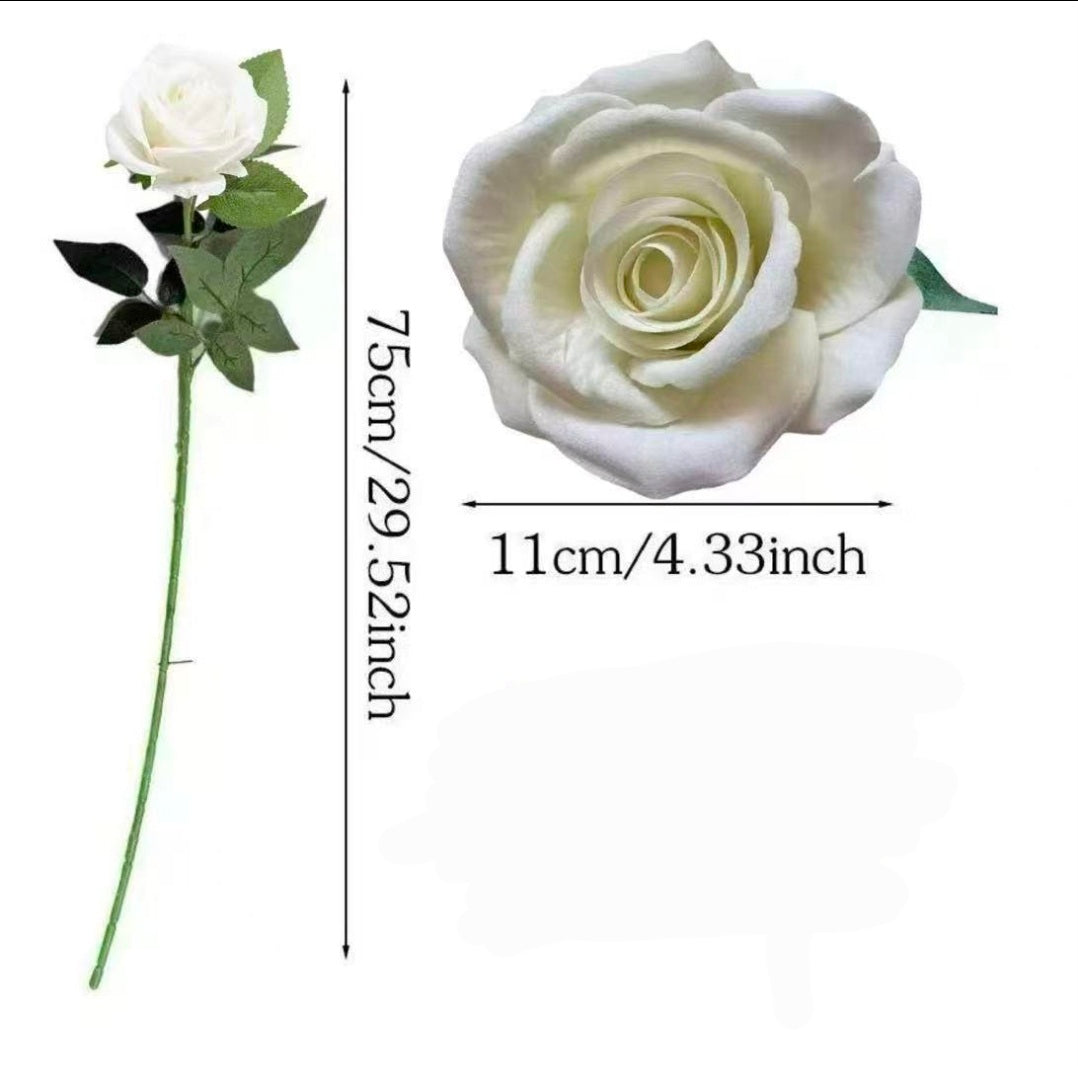 Large white rose