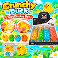 12PC CRUNCHY SQUARE DUCK