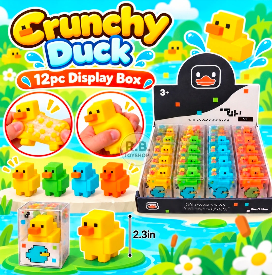 12PC CRUNCHY SQUARE DUCK