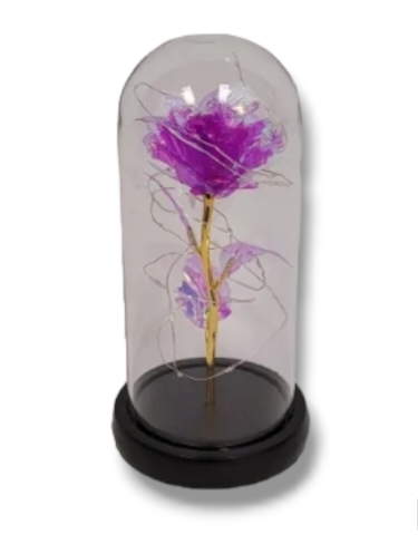 PURPLE Galaxy rose with lights