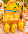 12pc SQUISHY MANGO