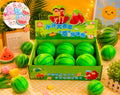 6pc Medium Watermelon
