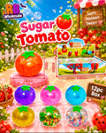 12pc Sugar Tomato