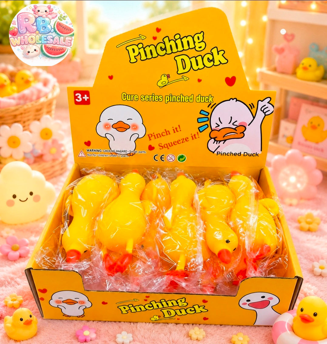 12pc Squishy Baby Ducks