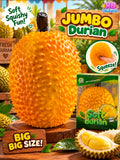 2pc XL Jumbo Durian